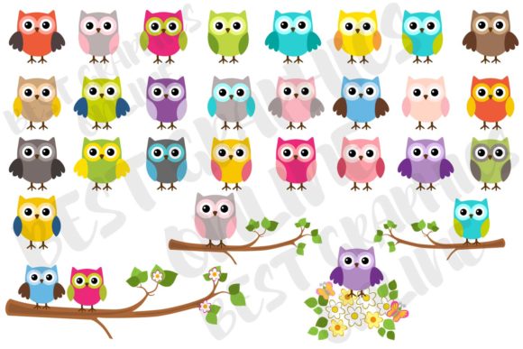 Owl Clipart, Owl Cute Owls Graphics Set - Download Now